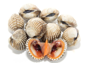 Fresh Shellfish Blood Cockles