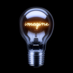 Light Bulb Concept © xtock
