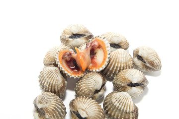 Fresh Shellfish Blood Cockles