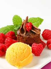 Mini chocolate cake with fresh raspberries and ice cream