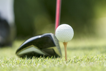 golf ball on a tee