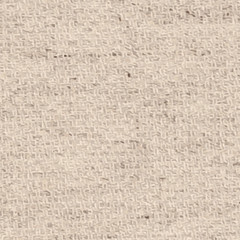 Light canvas texture. EPS 10