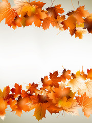 Naklejka na ściany i meble Colorful autumn leaves falling. EPS 10