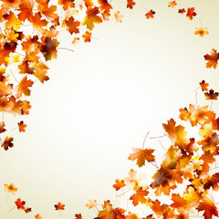 Naklejka na ściany i meble Flying leafs autumn. EPS 10