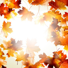 Naklejka na ściany i meble Background with maple autumn leaves. EPS 10