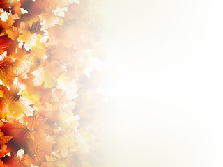 Fototapeta na wymiar Falling autumn leaves on light. EPS 10