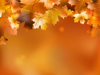 Naklejka na ściany i meble Autumn background with leaves. EPS 10