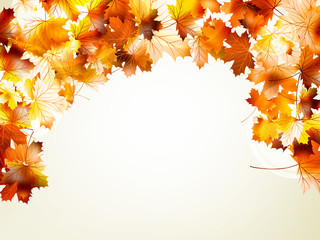 Naklejka na ściany i meble Autumnal leaf of maple and sunlight. EPS 10
