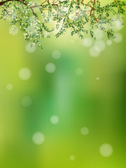 Fototapeta premium Summer in the forest, abstract natural. EPS 10