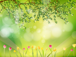 Obraz na płótnie Canvas Spring background with tulips. EPS 10
