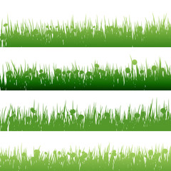 Grass and plants detailed silhouettes. EPS 10