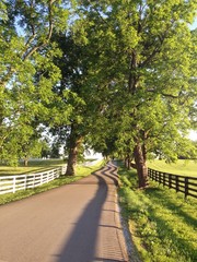 Country road among horse farms