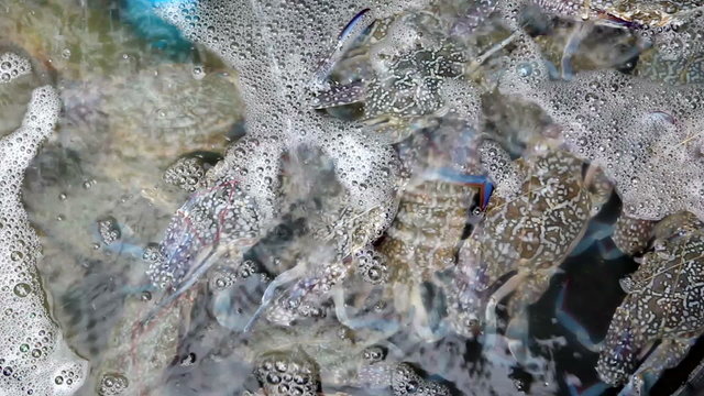 Crab farm in seafood resturant in Thailand