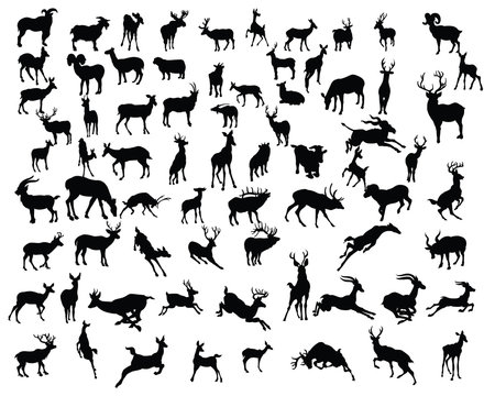 deers collection silhouettes - vector