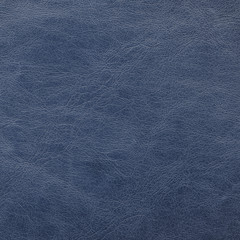 dark blue leather