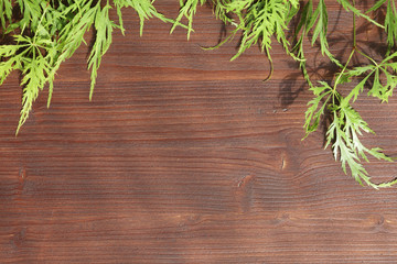 Holzbretter mit grünem Schlitzahornlaub © fotozick