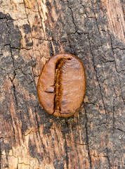 Coffee bean on wood background