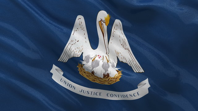 US state flag of Louisiana waving in the wind - loop