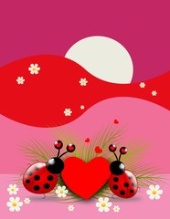 Fototapeta na wymiar Love ladybugs