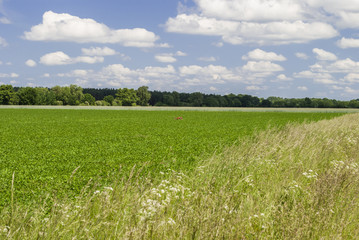 Between Earth and Sky