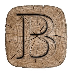 Wooden alphabet block, letter B