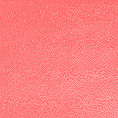 Fototapeta premium pale red leather texture for background