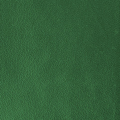 Fototapeta premium green leather texture for background