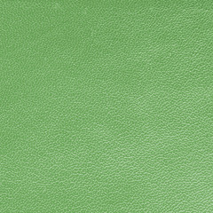 green leather texture for background