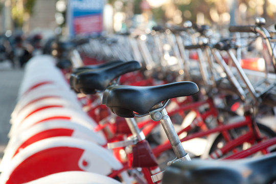 Fototapeta rental bicycles