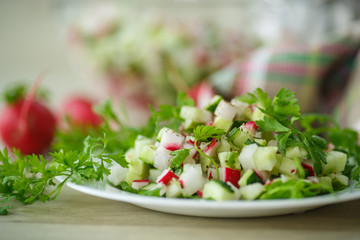 salad with radishes and cucumber