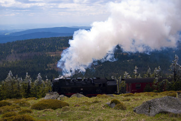Fototapeta na wymiar Harz Lokomotive