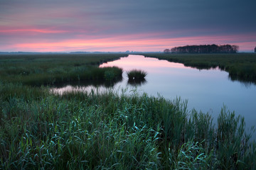 sunrise over river in spring