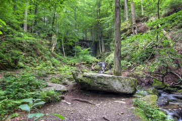 deciduous forest with ravines