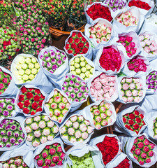 beautiful flowers at the flower market in Hong Kong