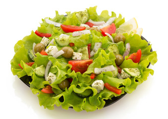 salad in plate on white
