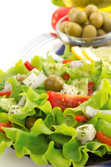 salad in plate on white