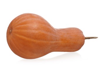 Long pumpkin