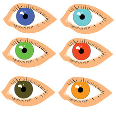 Eyes with pupils of different colors