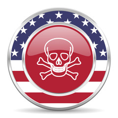 skull american icon, usa flag