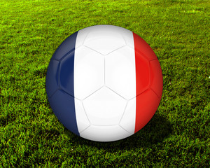 3d France Soccer Ball with Grass Background - isolated