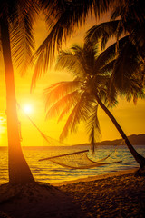 Hammock silhouette with palm trees on a beautiful at sunset
