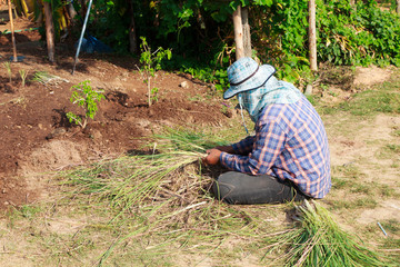 Rural farmer