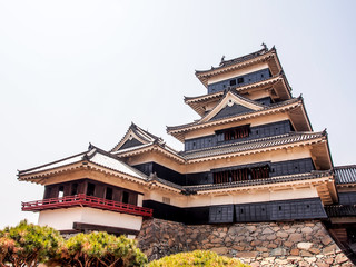 Fototapeta premium Matsumoto castle with blue sky in spring season