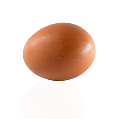 egg isolated on white background