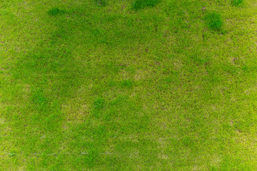 Fototapeta premium Fleckiger Rasen von Oben