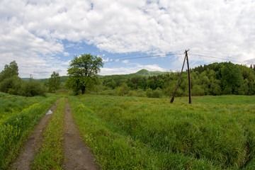 Bieszczadzkie łąki © Piotr Szpakowski