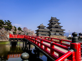 Fototapeta premium Matsumoto castle with blue sky in spring season