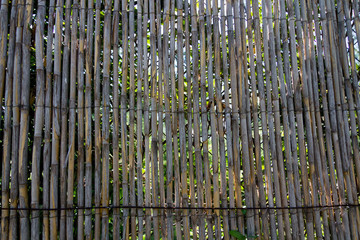 Bambus Zaun