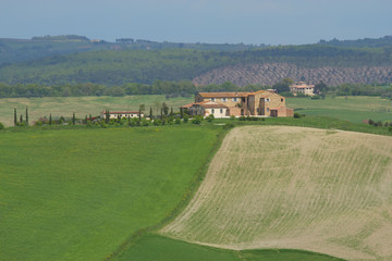 Fototapeta na wymiar Tuscan farmland