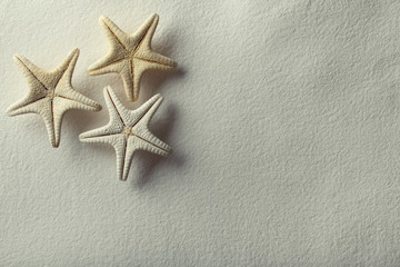 Fototapeta na wymiar Starfish on handmade paper background